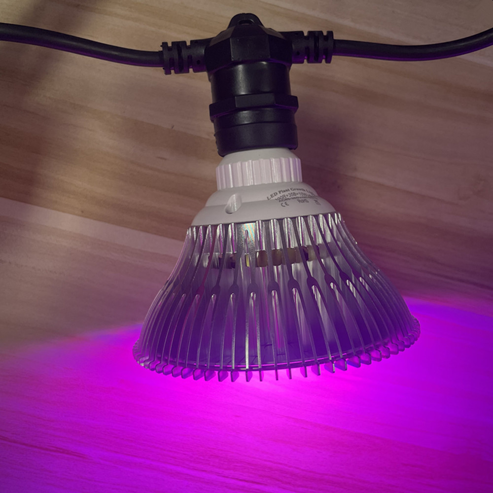 Cavo LED da 10 m, impermeabile - Outdoor Lighting Sconce recensione e prezzo