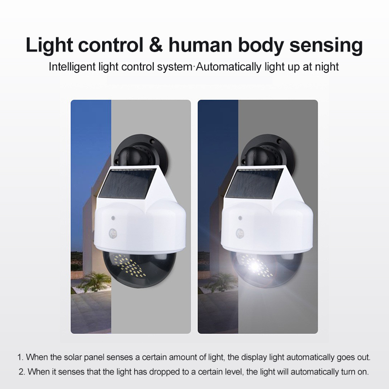 Telecamera di simulazione sola - Outdoor Lighting Sconce recensione e prezzo